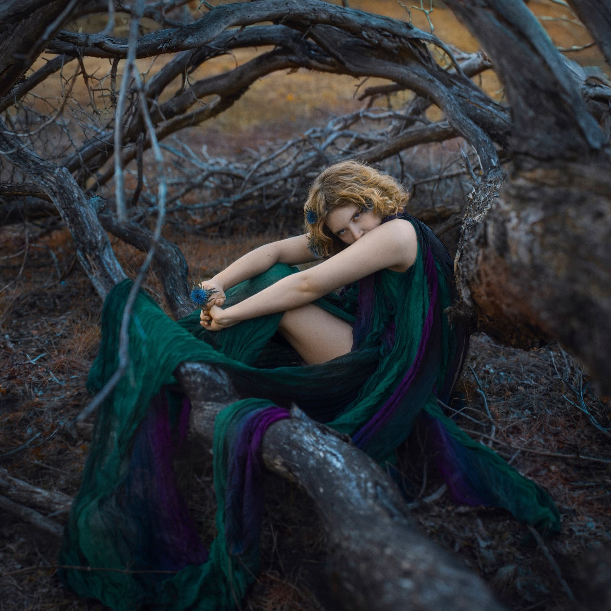 Nina curled up between fallen trees in a green veil, looking into the camera