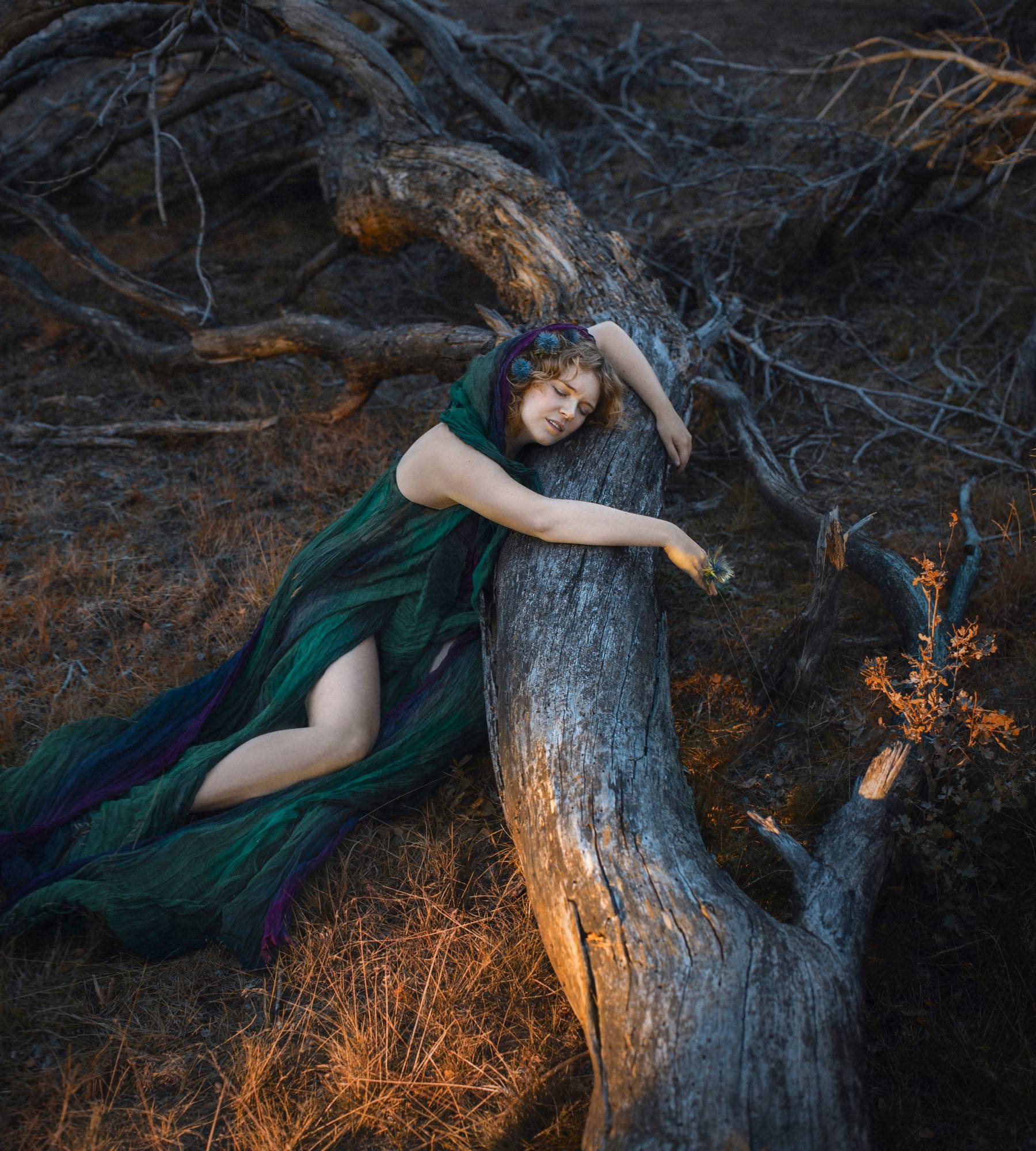 Nina in een groene sluier omarmt een gevallen boom in het avondlicht